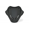 CNC Racing Carbon Fiber Sport Screen for Ducati Multistrada V4 CNC Racing Carbon Fiber Sport Screen for Ducati Multistrada V4